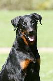 BEAUCERON 820